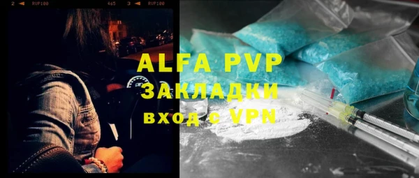 индика Баксан