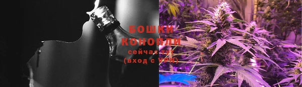 индика Баксан
