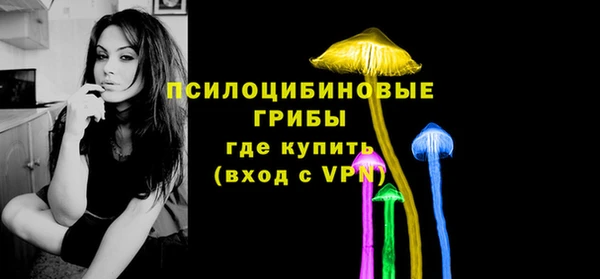 индика Баксан