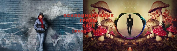 тгк Балахна