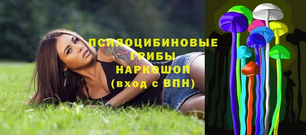 тгк Балахна