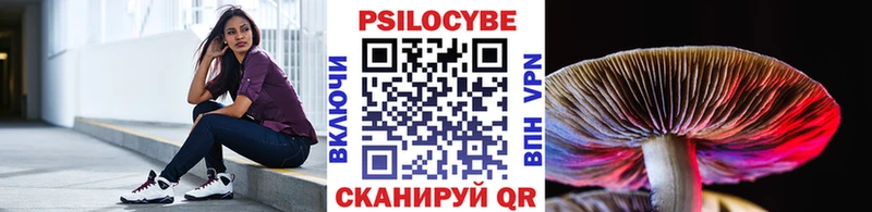 Купить закладки Никольск Псилоцибиновые грибы Psilocybe